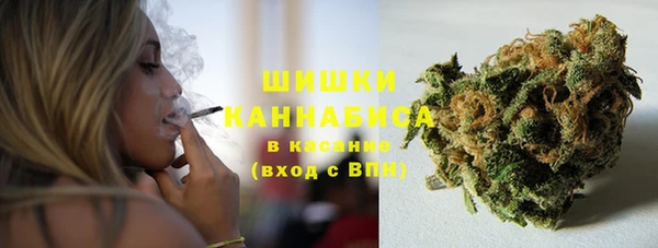 прущие грибы Балабаново