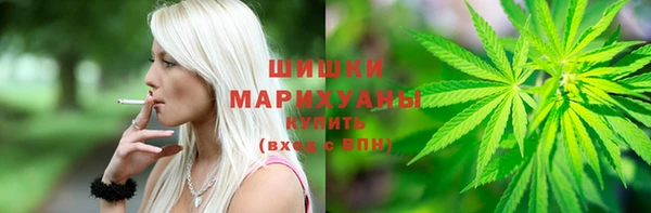 прущие грибы Балабаново