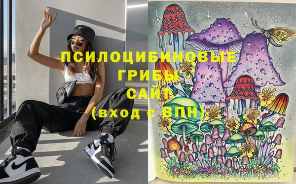 прущие грибы Балабаново