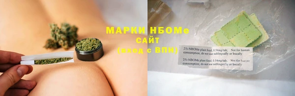 прущие грибы Балабаново