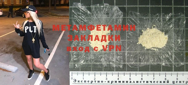 прущие грибы Балабаново
