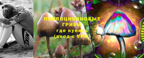 прущая мука Баксан