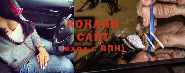 прущие грибы Балабаново