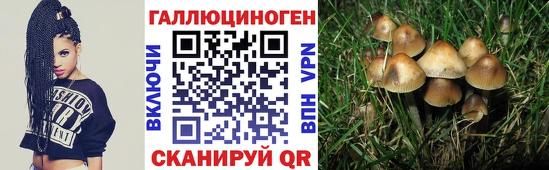 Галлюциногенные грибы Magic Shrooms  Гаврилов-Ям 